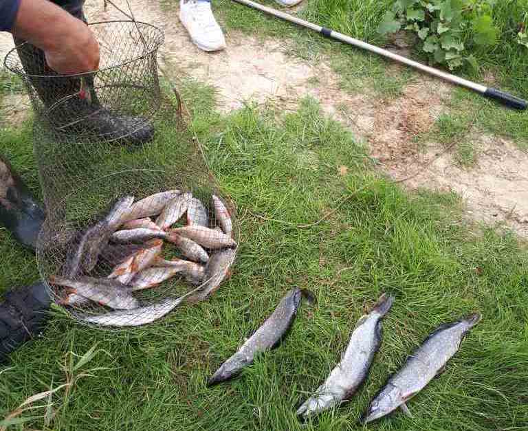 IMG 9085d9d63f496f375431afa40b093653 V