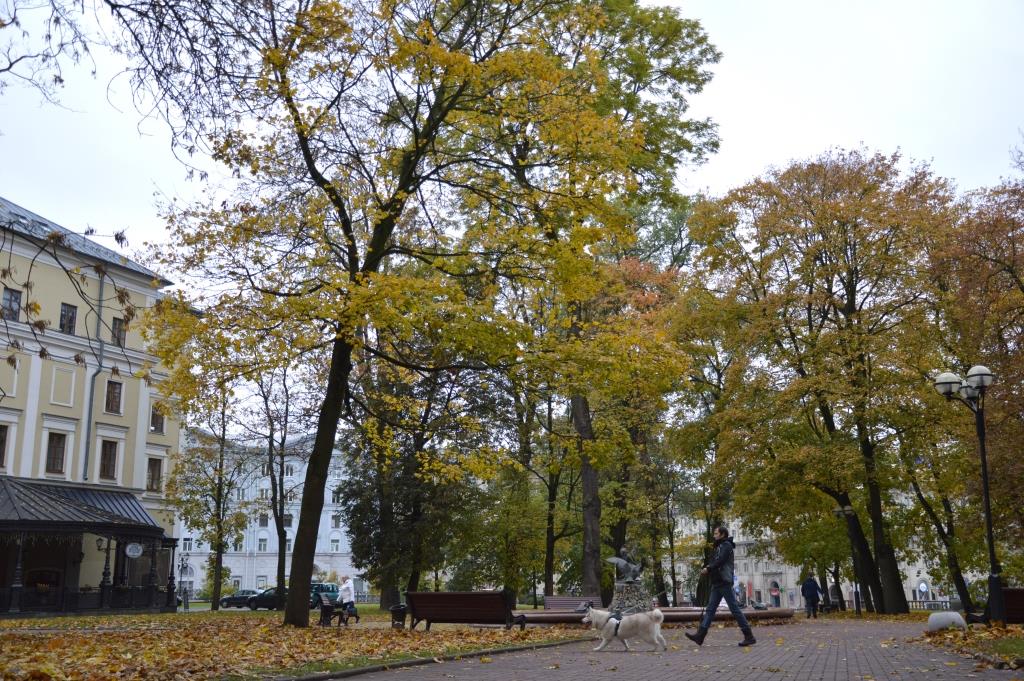 zaglavnaya