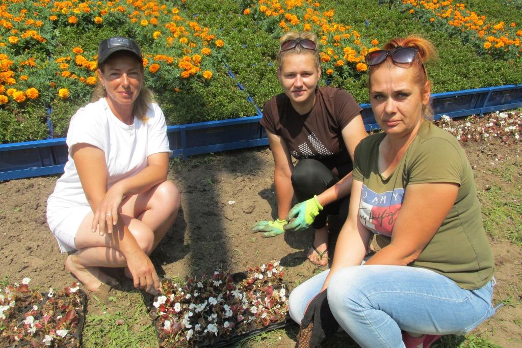 Карпович Брандевич и гурина