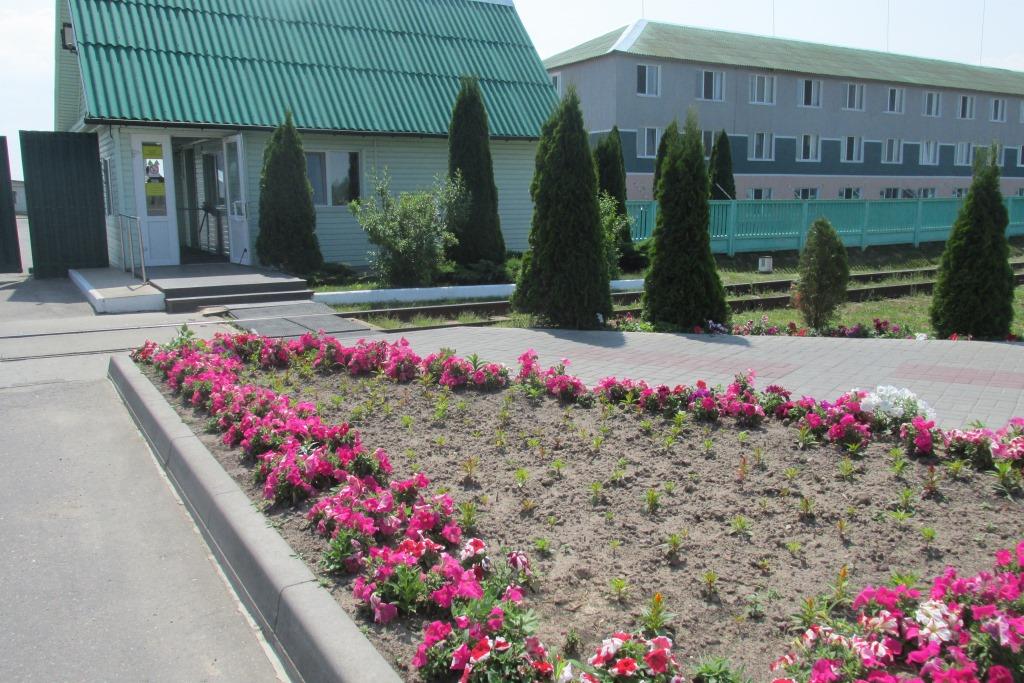 у проходной агрокомбината Юбилейный