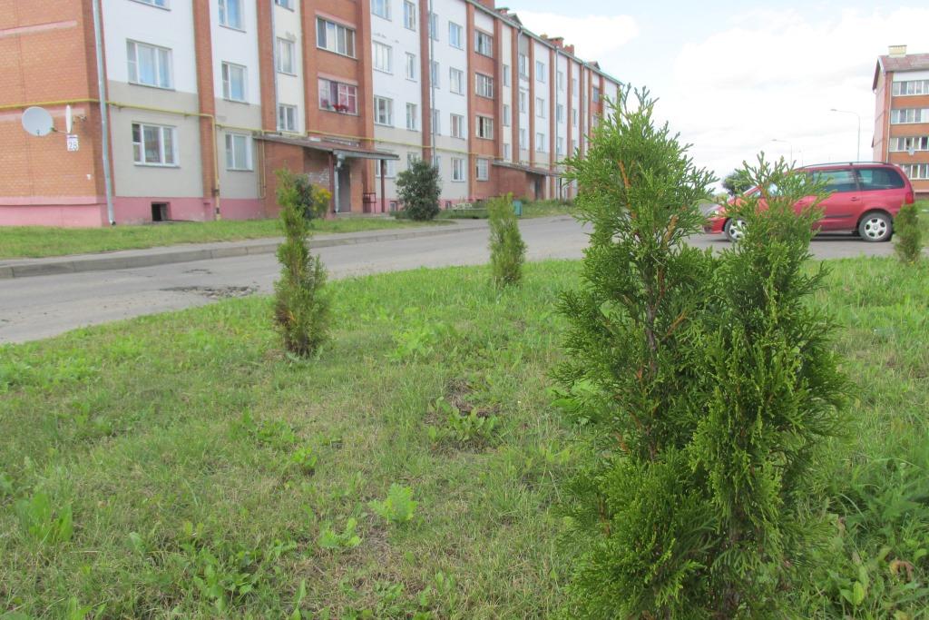 бабиничи 20 006