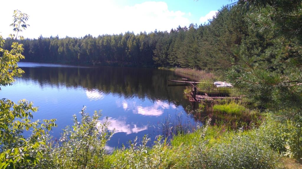 DSC 0605