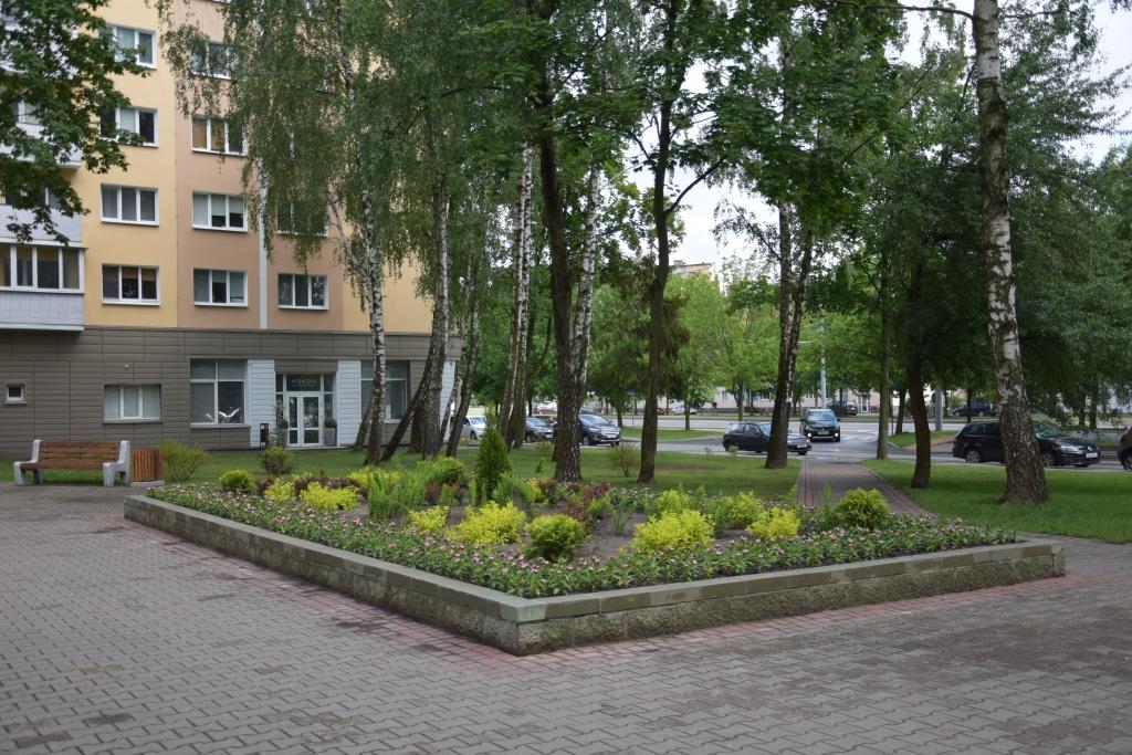 DSC 0303