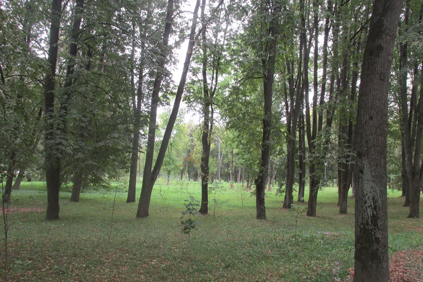 старейший парк на берегу Днепра