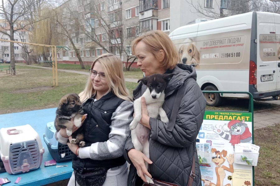 ГП «Фауна города» проводит акцию в День животных