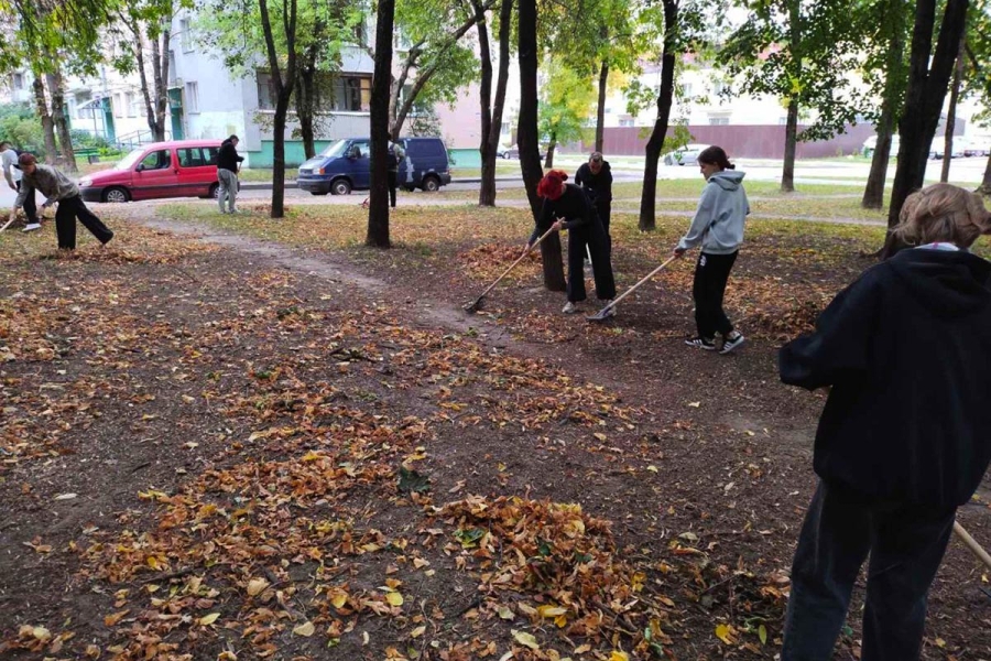 Леди городских цветников