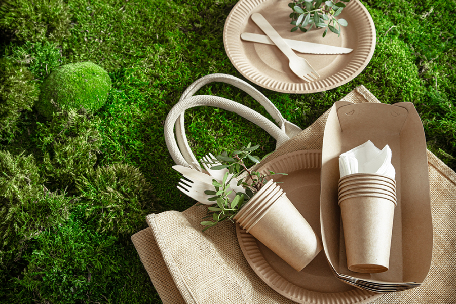 Разлагается ли биоразлагаемый пластик?