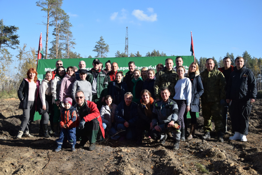 Далі лесу новае жыццё!