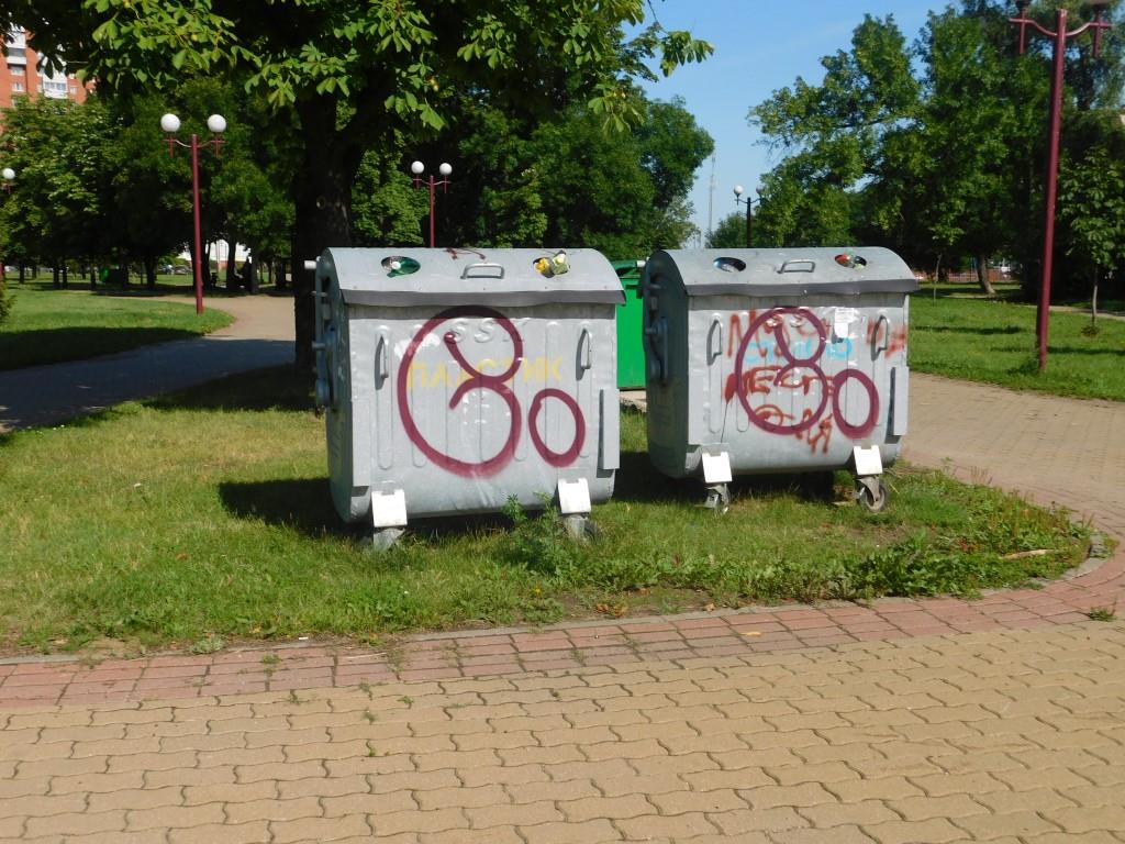 DSCN5039