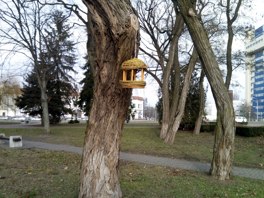 IMG 20200124 132441