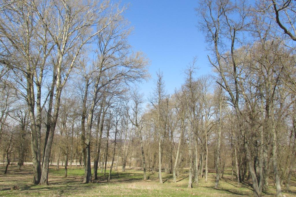 дорога и памятники природы 006