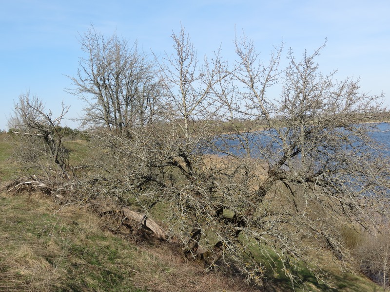 IMG 9611