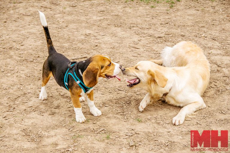 pavel rusak 6 of 14 kopiya 768x512