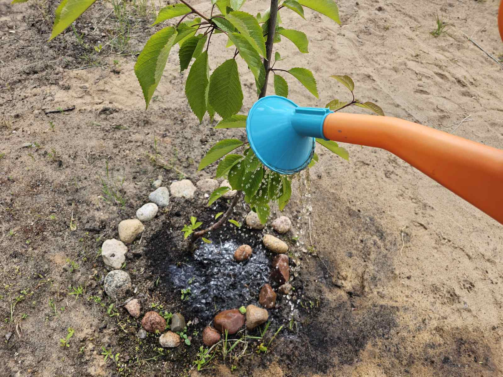 изображение viber 2023 06 16 14 59 30 704