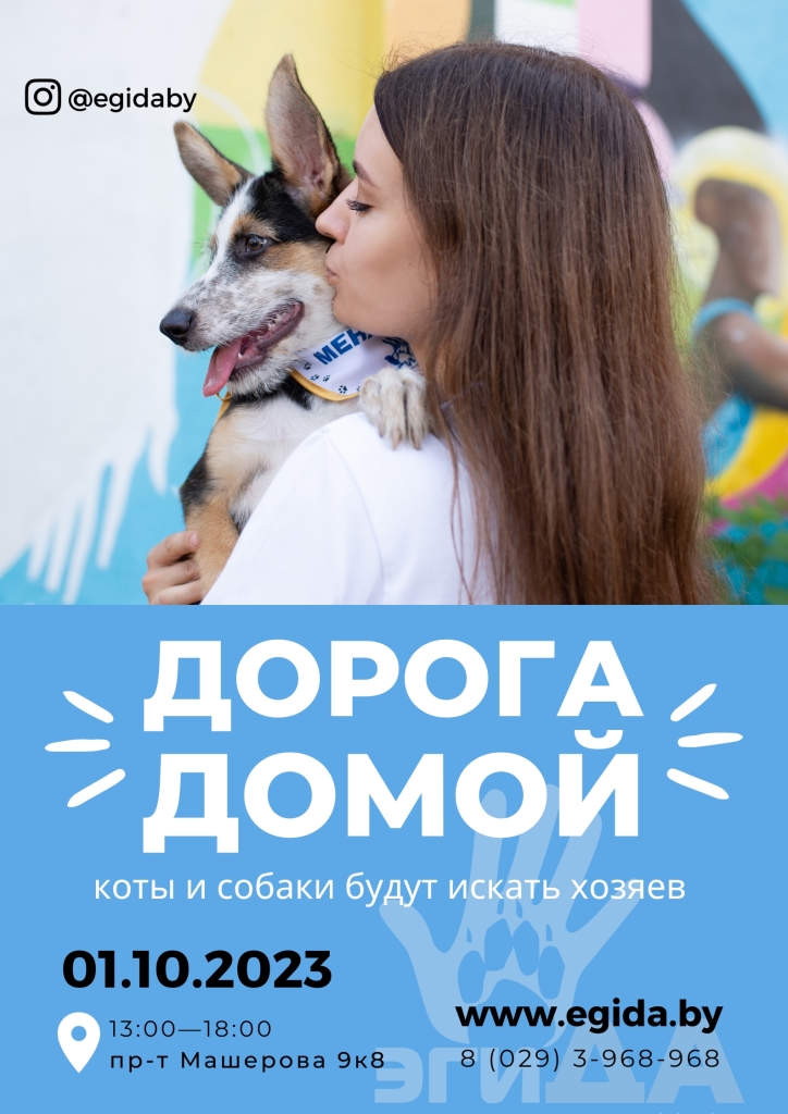 EGIDA.BY 01.10.2023