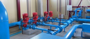 imgonline com ua Resize fKu9VFAmHgaC 1