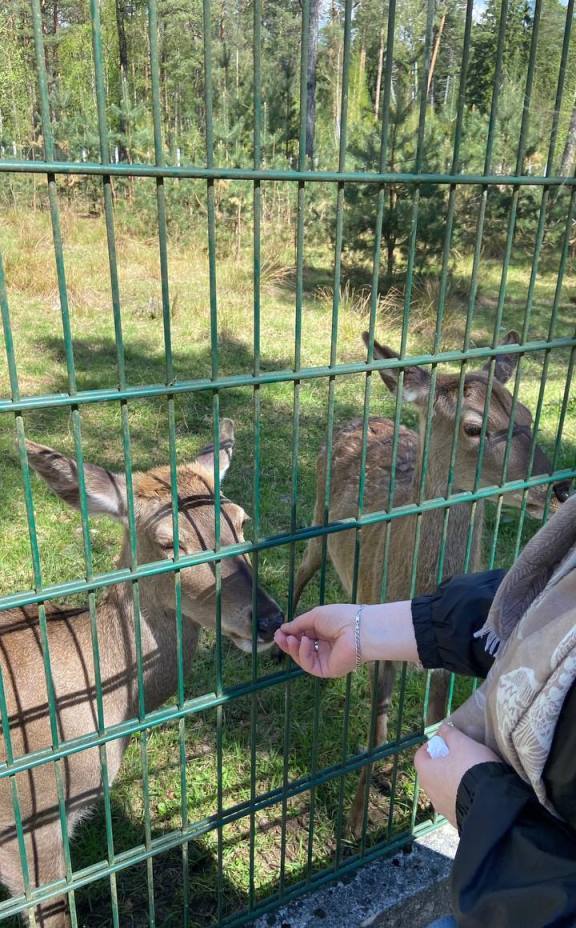 photo 2024 05 29 16 05 53