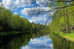 Озеро Плянта в Беловежской пуще