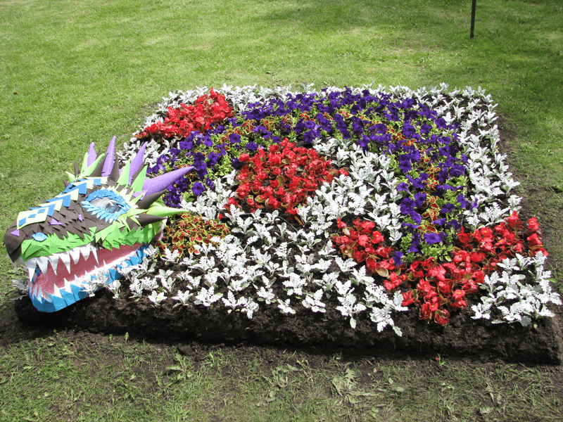 Дракоша Фрунзенского района