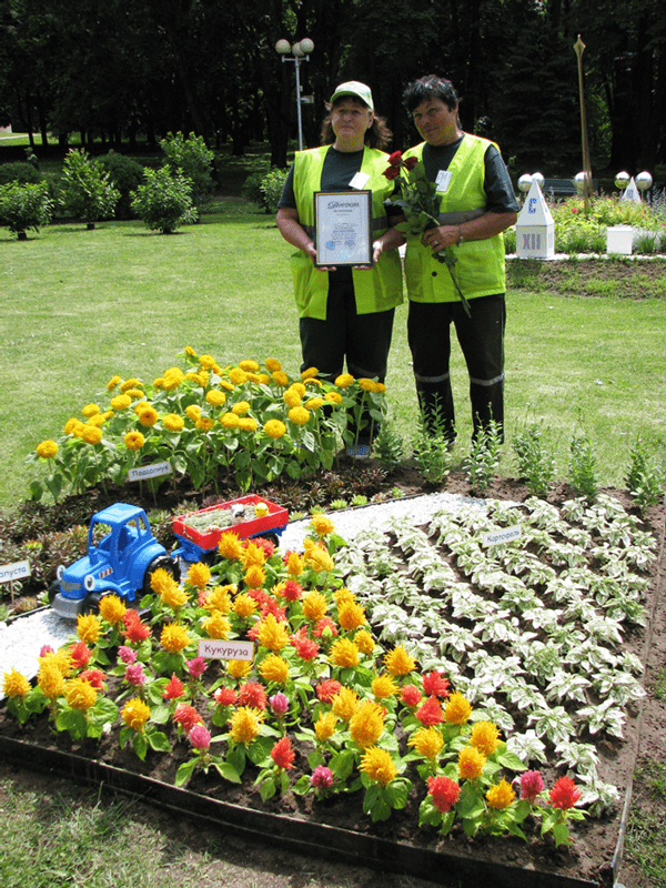 Синий трактор Центрального района